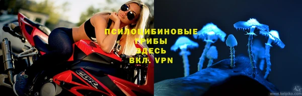 винт Михайлов