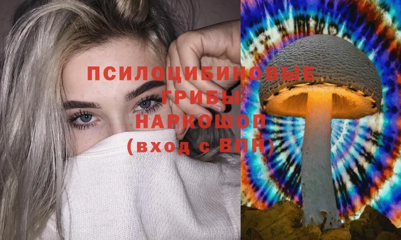 Псилоцибиновые грибы Magic Shrooms  Мышкин 