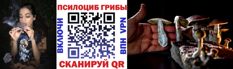 Псилоцибиновые грибы Cubensis купить цена Мышкин